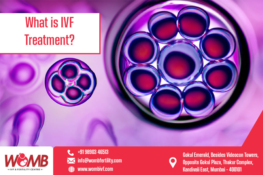 What is IVF Treatment? Womb IVF Fertility Center Mumbai